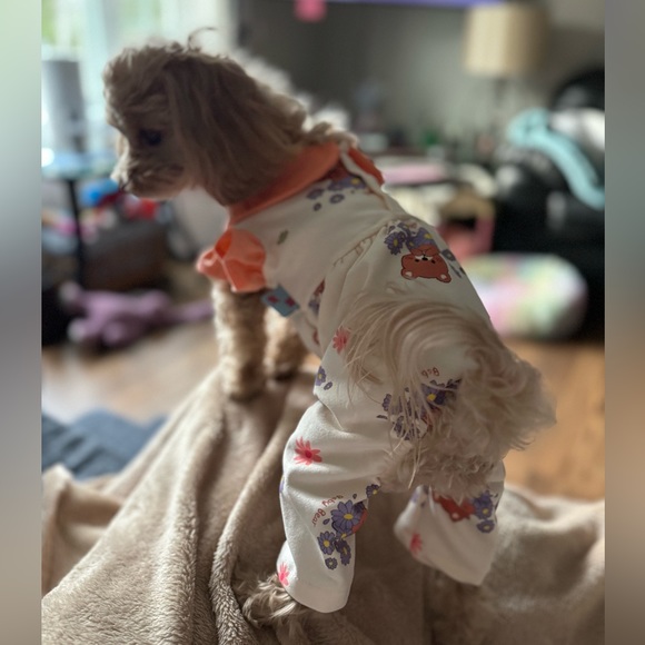 PRINCESS RAYNNE 💗💗💗 - Picture 3 of 17